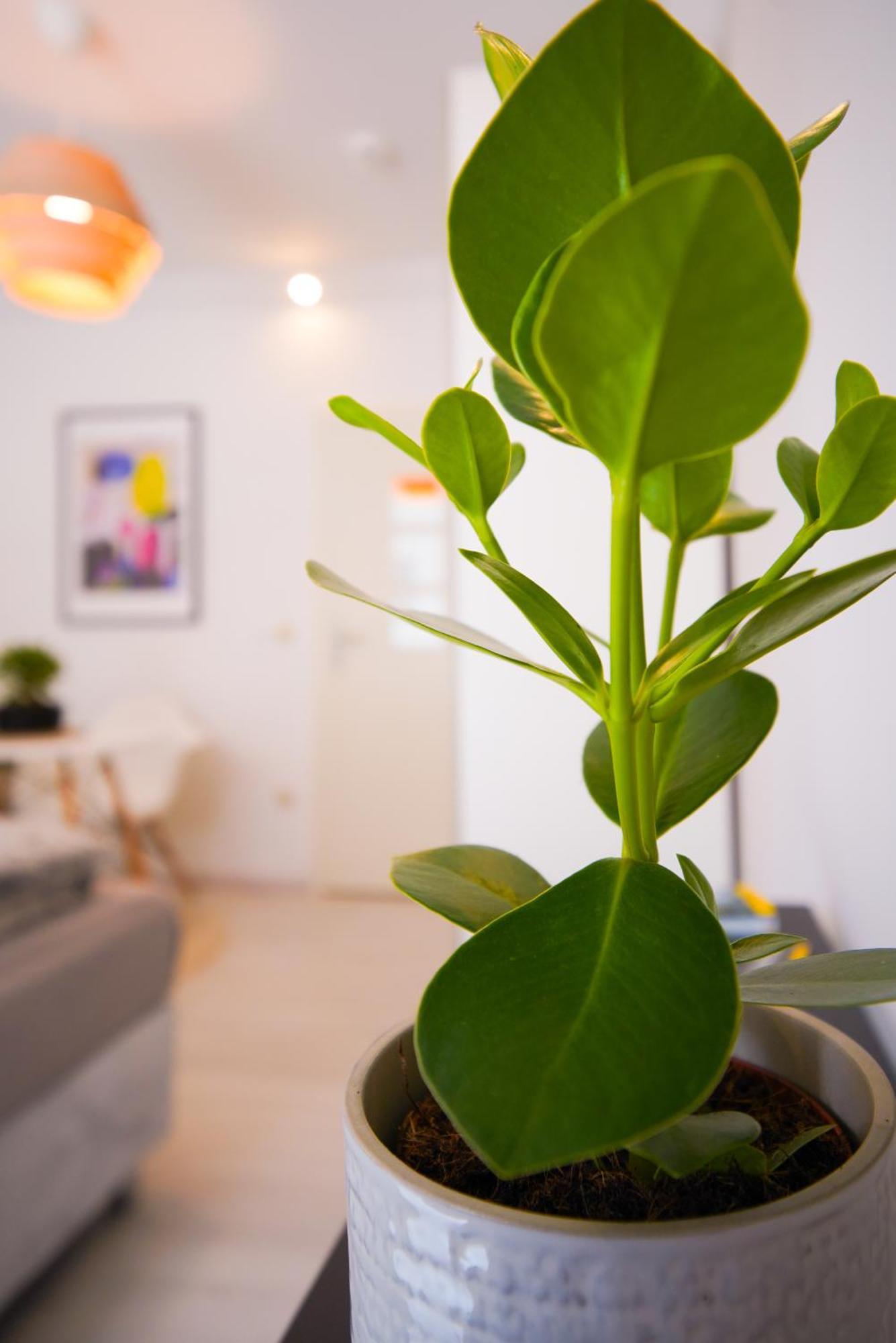 Stilvolles Apartment Im Laessigsten Viertel 慕尼黑 外观 照片